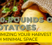 Potatoes_20230404